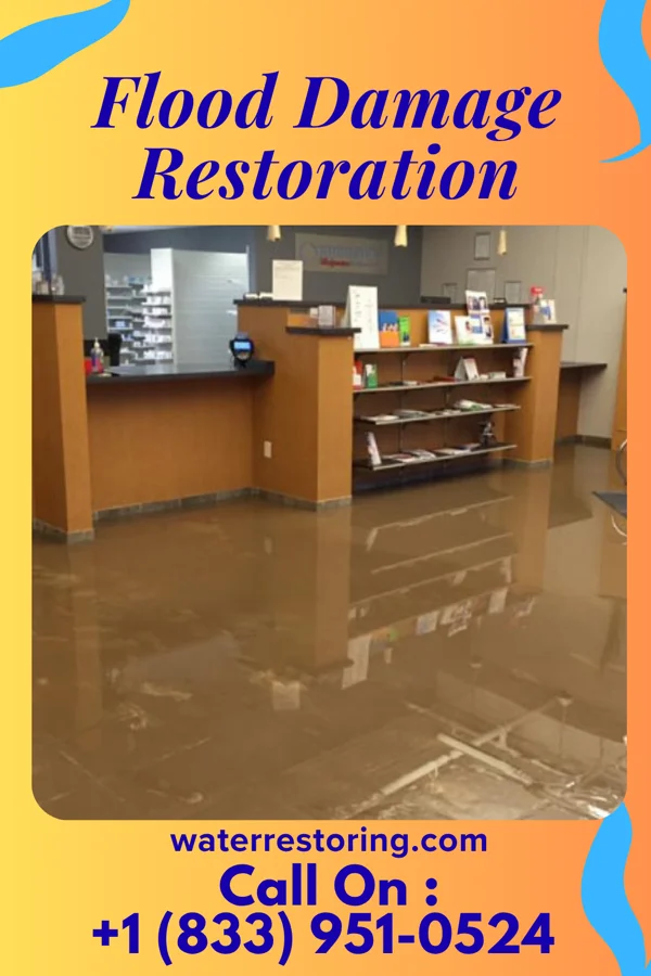Flood Damage Restoration in Boardman, NC