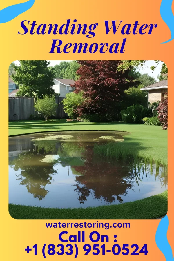 Standing Water Removal in Boardman, NC